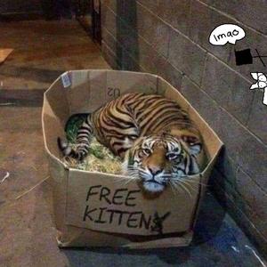 国产成人三级网址
